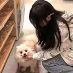 天醒之录手游下载